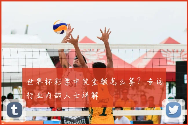世界杯彩票中奖金额怎么算?专访行业内部人士详解