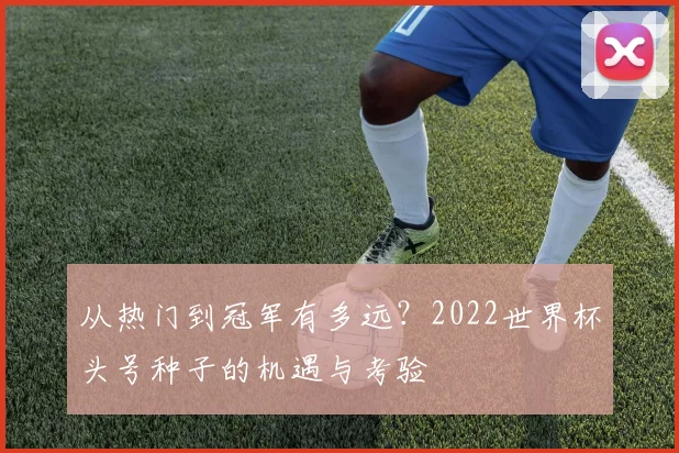 从热门到冠军有多远？2022世界杯头号种子的机遇与考验