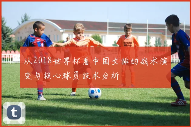 从2018世界杯看中国女排的战术演变与核心球员技术分析