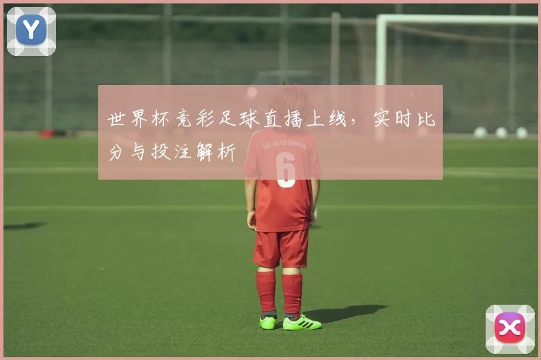 世界杯竞彩足球直播上线,实时比分与投注解析
