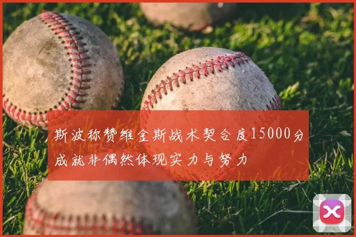 斯波称赞维金斯战术契合度15000分成就非偶然体现实力与努力