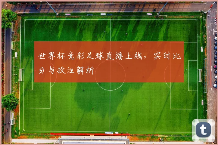 世界杯竞彩足球直播上线,实时比分与投注解析