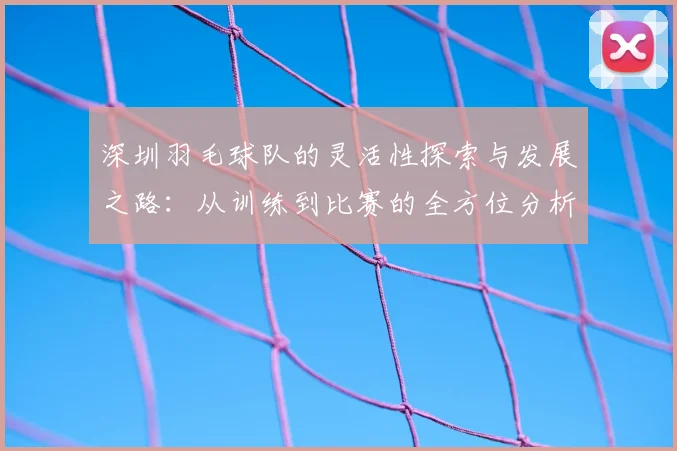 深圳羽毛球队的灵活性探索与发展之路：从训练到比赛的全方位分析