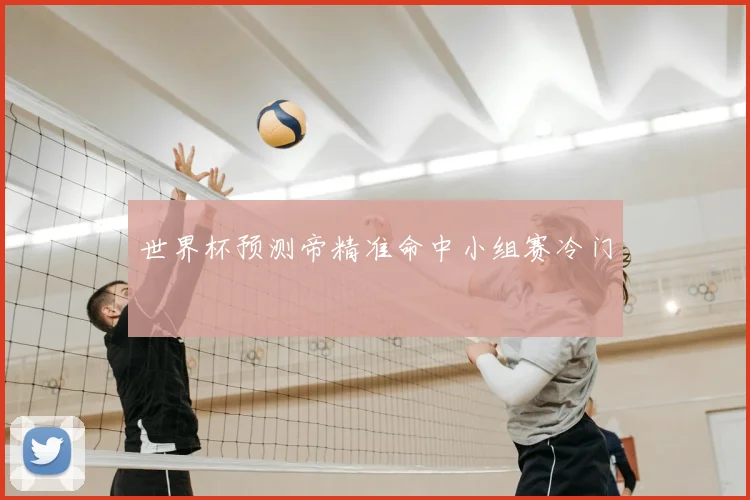 世界杯预测帝精准命中小组赛冷门
