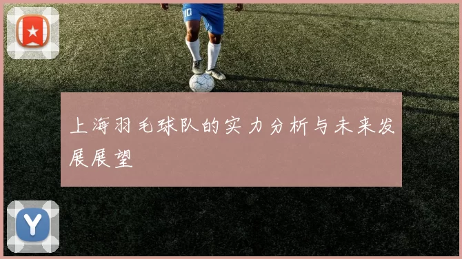 上海羽毛球队的实力分析与未来发展展望